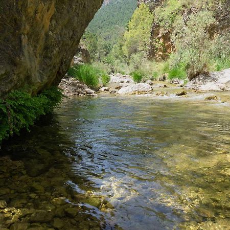 Casa Rural Mirador Del Rio Tus, En Yeste Dış mekan fotoğraf