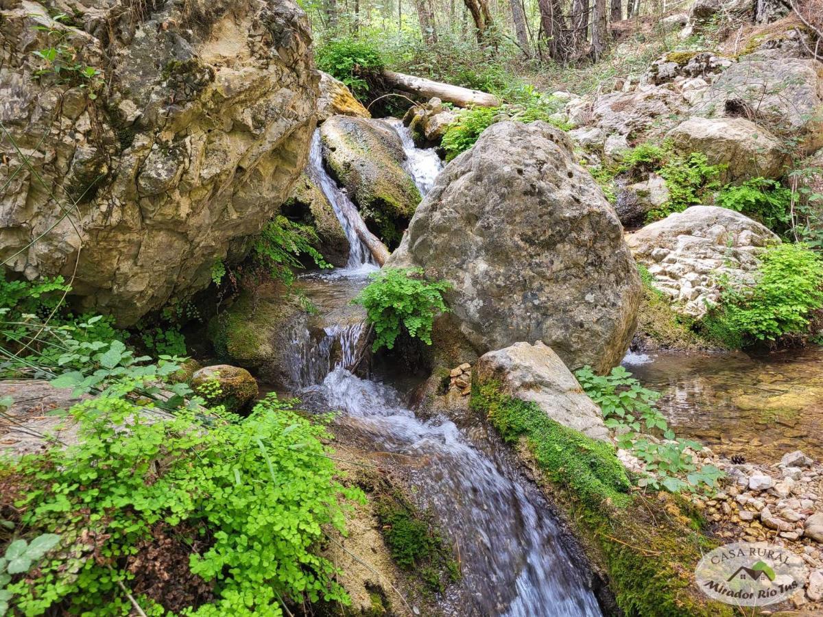 Casa Rural Mirador Del Rio Tus, En Yeste Dış mekan fotoğraf