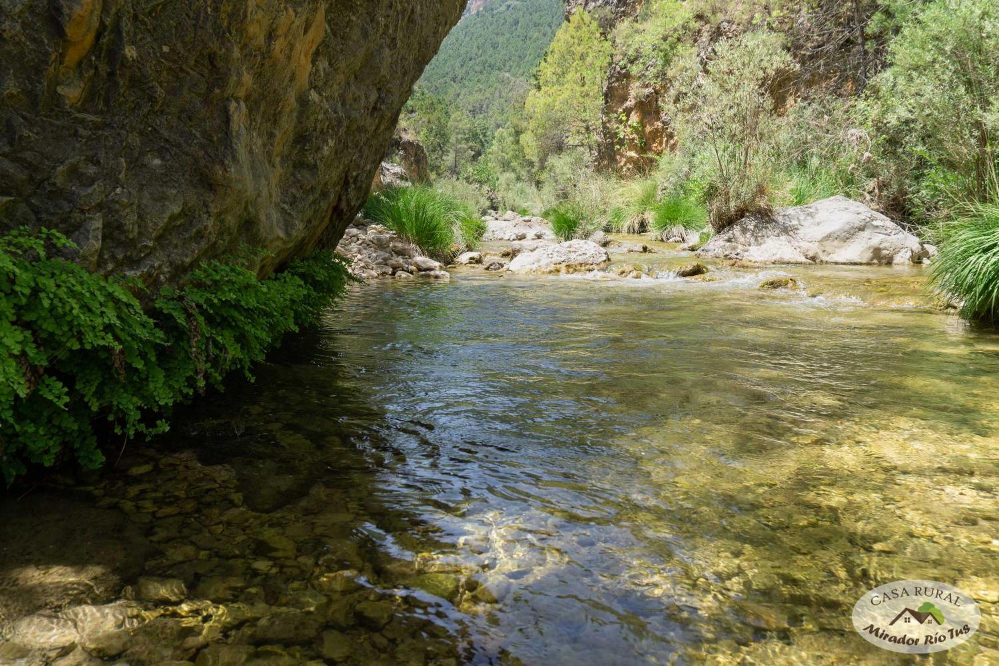 Casa Rural Mirador Del Rio Tus, En Yeste Dış mekan fotoğraf